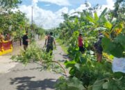 Cegah Pohon Tumbang Babinsa Ceper Kerja Bakti Pangkas Pohon Bersama Warga