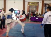 Unjuk Kebolehan Pada Gelanggang PORKAB, Cabor Ju-Jitsu Se-kabupaten Sidoarjo Siap Menyongsong Porprov 2025