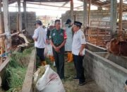 Babinsa Koramil Ceper Bersama Petugas Cek Kesehatan Hewan Ternak Warga Binaan