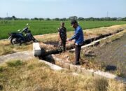 Babinsa Koramil Wonosari Cek Irigasi untuk Dukung Ketahanan Pangan Nasional
