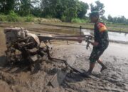 Babinsa Koramil Prambanan Bantu Petani Olah Lahan Sawah