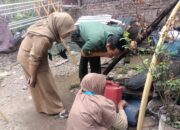 Babinsa Koramil Klaten Utara Bersama Kader Kesehatan Berantas Sarang Nyamuk Desa Karanganom