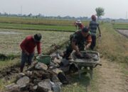 Babinsa Koramil Prambanan Bersama Masyarakat Karya Bakti Buat Talud Saluran Irigasi