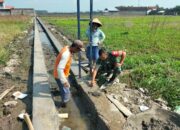 Babinsa Desa Sekaran Koramil Wonosari Dampingi Pembuatan Talud Irigasi Sawah