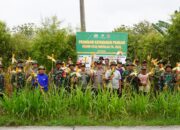 Kodim Boyolali Panen Raya Jagung Di Lahan Perhutani