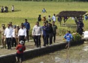 Presiden Joko Widodo Tinjau Program Pompanisasi Air Sungai Dengkeng Di Klaten