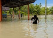 Beranda Bireuen-:28-juni-2024*/Media REALITA,CO,ID,*// K Gampong Cot ngak Kecamatan Pesanggan Dilanda Banjir, 100 Rumah warga Terendam Air,