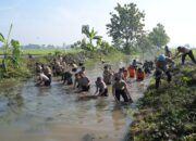 Kembali Bersinergi, Kodim 0726/Sukoharjo Karya Bakti TNI-Polri Bersihkan Sungai Grajegan