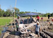 Babinsa Desa Wadunggetas Klaten, Dampingi Pembuatan Irigasi Pertanian