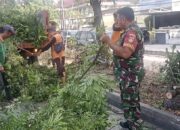 Demi Keselamatan Warga, Babinsa Penumping Bersama DLH Laksanakan Penebangan Pohon