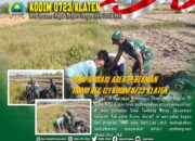 Pompanisasi di Area Pertanian oleh Satgas TMMD Reg 121 Kodim Klaten