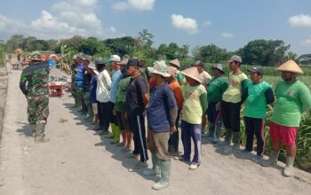 Karya Bakti Mandiri Klaten Bersiar (KBMKB) Desa Tulung Bangun Infrastruktur Untuk Pertanian