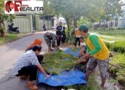Dukung Ketahanan Pangan Wilayah, Babinsa Sumber Bersama BPS Dan PPL Laksanakan Pengubinan Padi