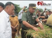 Dandim Klaten Tinjau Langsung Penyerapan Gabah Petani Upaya Mendukung Program Swasembada Pangan Nasional