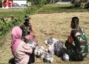 Dukung Program Pemerintah Untuk Ketahanan Pangan Nasional, Babinsa Koramil Klaten Utara Sosialisasikan Serapan Gabah Kering