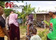 Munculnya Buaya Muara, Petani Tambak Jabon Merasa Was-Was