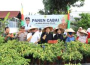 Pemkab Bogor Gelar Panen Cabai untuk Kendalikan Harga Kebutuhan Pokok