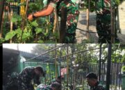 Dukung Swasembada Pangan, Danramil 04/Jebres Bersama Anggotanya Tanam Bibit Buah Dan Tanaman Herbal