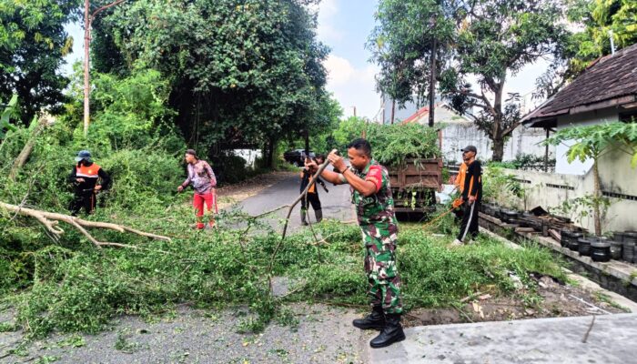 Demi Keselamatan Warga, Babinsa Manahan Terjun Ke Lapangan Bantu Pemangkasan Pohon
