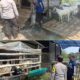 Peternakan Kambing Wujud Program Asta Cita Ketahanan Pangan Poresta Sidoarjo