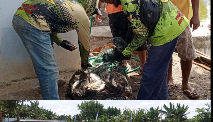 Grand Opening, Kolam Pancing Sidomulyo, Dongkrak UMKM Tingkatkan Ekonomi