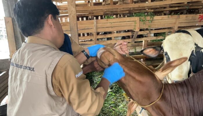 Jamin Daging Qurban Aman, Pemkab Bogor Siagakan Tim Pengamanan Hewan Qurban dan Posko Pemeriksaan