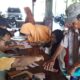 Pemdes Kupang Cairkan BLT DD, Sebanyak 40 (KPM) Ringankan Beban Masyarakat