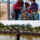 Kolam Pancing Sidomulyo, Dikemas Bernuansa Makan Bersama