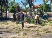 TNI Dan Pemerintah Kota Surakarta Serta Warga Masyarakat Kerja Bakti Perempelan Pohon Untuk Mitigasi Bencana