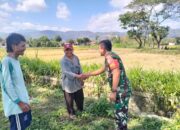 Bahas Pola Tanam Dan Pencegahan Hama Bersama Petani Desa Pesu Klaten, Babinsa Koramil 07/Wedi Sampaikan Ini