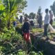 Sinergi Basmi Tikus Di Lahan Pertanian Wedi, Koramil 07/Wedi Kodim 0723/Klaten Lakukan Gropyokan