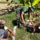 Babinsa Klaten Utara Bantu Pengairan Lahan Padi, Perkuat Ketahanan Pangan