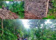 Paska Ambrol di Terjang Hujan Lakukan Perkuatan Penahan Tanah Di Wonosunyo