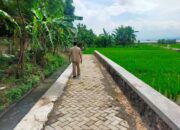 Bangun Jalan Usaha Tani,Permudah Mobilitas Hasil Panen