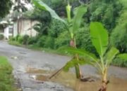 Jalan Rusak Parah di Jonggol Dibiarkan: Warga Kampung Sawah–Sirnagalih Terjebak Kubangan, Pemerintah Dinilai Abai