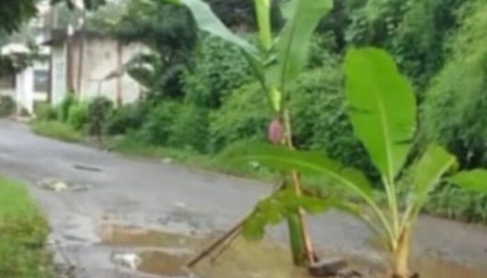 Jalan Rusak Parah di Jonggol Dibiarkan: Warga Kampung Sawah–Sirnagalih Terjebak Kubangan, Pemerintah Dinilai Abai