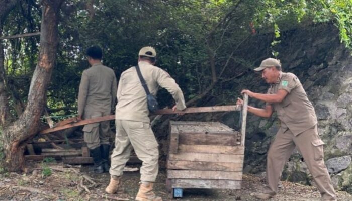 Pol PP Bongkar Lapak PKL Di Flay Over Bundaran Nusa Dua Gempol,Ini Alasannya ?