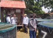 Budidaya Lele Jadi Andalan Pemkab Bangkalan: Dorong Bisnis Perikanan, Penuhi MBG, dan Naikkan PAD