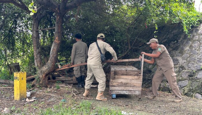 Pol PP Bongkar Lapak PKL Di Flay Over Bundaran Nusa Dua Gempol,Ini Alasannya ?