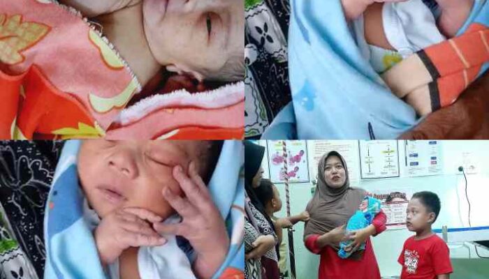 Terlantar di Blega: Tangisan Bayi Pecah dari Dalam Kardus Mie yang Terbengkalai