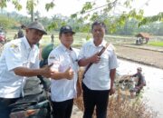 Menggunakan Mesin Canggih, Dinas Pertanian Semarang Melaksanan Simulasi Penaman Padi