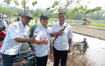 Menggunakan Mesin Canggih, Dinas Pertanian Semarang Melaksanan Simulasi Penaman Padi