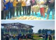 Woow Keren,Prestasi Bumdes Winong Di Sektor pertanian Cukup Membanggakan,Hasil Panen Buah Melon Tembus 30 Ton.