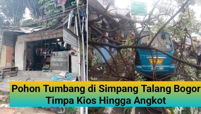 Pohon Tumbang di Simpang Talang Bogor Timpa Kios Hingga Angkot, Akibatkan Macet