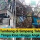 Pohon Tumbang di Simpang Talang Bogor Timpa Kios Hingga Angkot, Akibatkan Macet