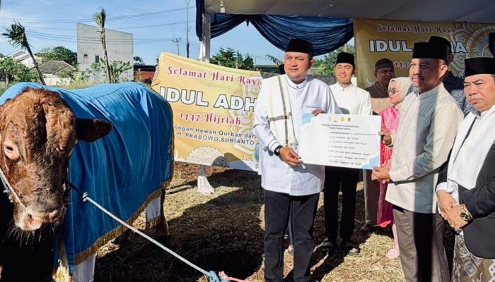 Bupati Bogor Serahkan Hewan Kurban Bantuan Presiden RI kepada DKM Masjid Raya Nurul Wathon