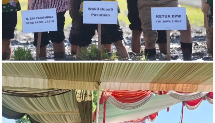 Dukung Swasembada Pangan,Wabup Rela “ Nyemplung Sawah”Di Acara Tanam Padi Serentak di Luas Lahan 3 Ha.