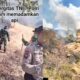 Waspada ” Musim Kemarau Pepohonan di Bukit Pemuteran Dilalap Si Jago Merah !