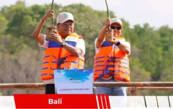 Heboh ” Gubernur Bali I Wayan koster dukung penanaman pohon Mangrove seluruh Bali!!!