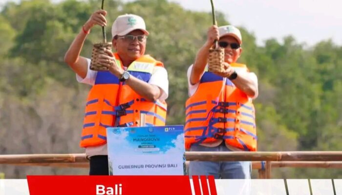 Heboh ” Gubernur Bali I Wayan koster dukung penanaman pohon Mangrove seluruh Bali!!!